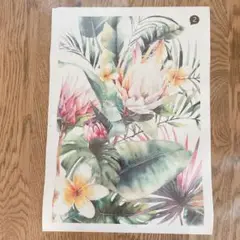 ✳️匿名配送❣️ ウォールステッカー 植物 壁紙 シール DIY 模様替え 4枚