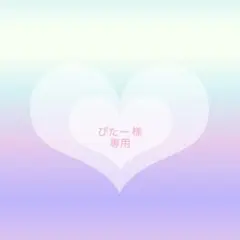 びたー様 リクエスト 2点 まとめ商品