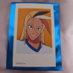 メディコス　イナズマイレブン　ミニフォトカード　柳生駿河