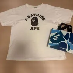 エイプ カレッジロゴ Tシャツ Lサイズ カモフラ アーチロゴ 迷彩 