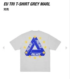 中古] SS25 palace tri-vex t-shirt - メルカリ