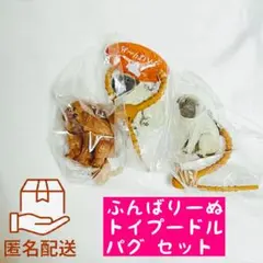 ふんばりーぬ トイプードル パグ セット
