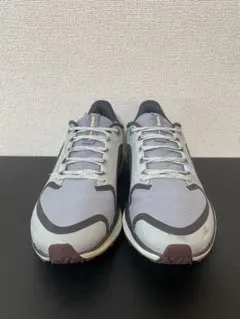 Item thumbnail for item 416535d2-2cbd-4cd5-82f3-a2607414206b