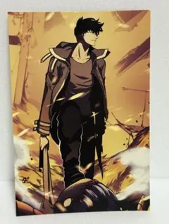 2025年最新】俺だけレベルアップな件 カードの人気アイテム