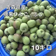 青森県産 摘果りんご ふじ 10キロのサムネイル