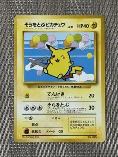 そらをとぶピカチュウ_ANA 「みんなにうれしいキャンペーン