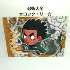 【NARUTO】忍術大全　NO.02　ロック・リー　裏蓮華　2005年