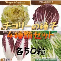 ショウ様 リクエスト 2点 まとめ商品