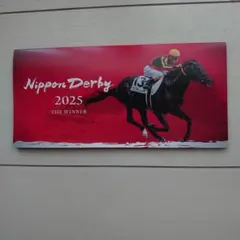 【非売品】 クロワデュノール　マフラー型キーホルダー　日本ダービー　JRA 000000007182_BlXMgtK.jpg