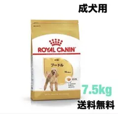 Item thumbnail for item fd30c17d-2c4f-4619-be03-1296442c770a