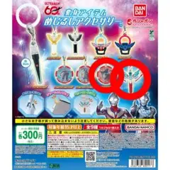 ウルトラマンシリーズ 変身アイテムめじるしアクセサリー 2種セット