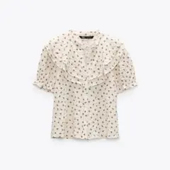 Item thumbnail for item 75c93580-2a57-44db-9c4f-0ca9ceddd22e