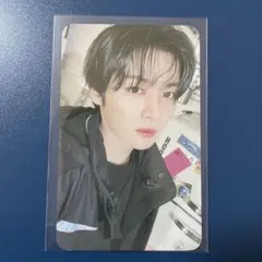 StrayKids KARMA リノ FANS SKZOO 特典トレカ