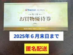 ヤマダHD お買物優待券15000円分(500円券×30枚) 25.6月末日迄