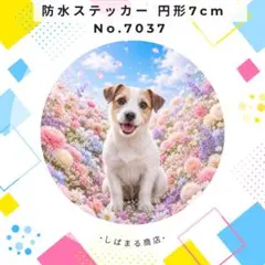 [무료배송 ❣️] 잭 러셀 테리어 방수 스티커 7cm 원형 플라워
