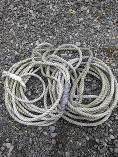 Item thumbnail for item 17a5eb3c-45b1-448a-9c11-794322664420