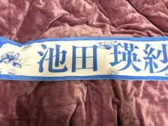 Item thumbnail for item 13f8451d-188e-4272-93fe-9bbfdf8c09f9