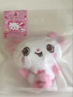 NCT WISH DOLL SAKUYA サクヤ パン ドール ぬいぐるみ