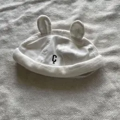 Item thumbnail for item 82e9e34d-b4ba-4dde-b5c2-8da6d5f2e907