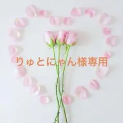 りゅとにゃん様専用