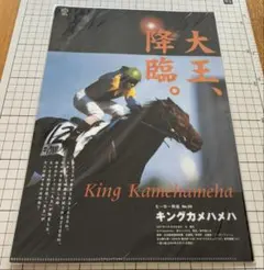 JRA ヒーロー列伝 B3ポスター 3種 - メルカリ