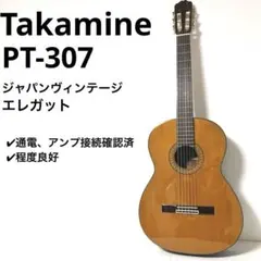 상태 양호 상태좋음 ✨ Takamine PT-307 클래식 기타 엘레가트