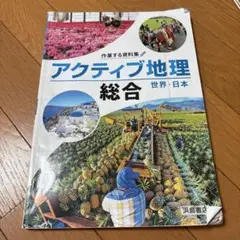 アクティブ地理　世界、日本浜島書店　万博