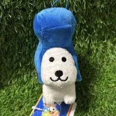 新品タグ付き アフロ犬 リーゼント リーゼント犬