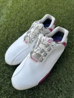 Item thumbnail for item 4c7f5353-197e-43ab-9771-4c93489f085f