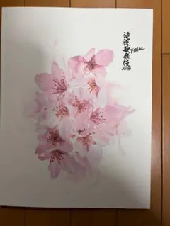 滝沢歌舞伎ZERO FINAL SnowMan パンフレット