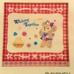 ディズニーシー 15周年限定 タオルセット ⚠︎ シェリーメイのみ 新品 未使用