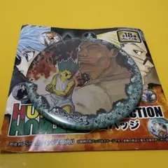 HUNTER×HUNTER コレクション缶バッジ　ゴン　②