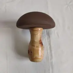 ダーニングマッシュルーム