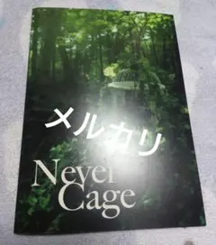2026年最新】LAREINE Never Cageの人気アイテム - メルカリ