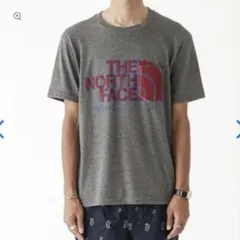 THE NORTH FACE PURPLE LABEL ロゴ Tシャツ ナナミカ