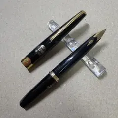 廃番 PLATINUM プラチナ 万年筆 2way PKW-5000 両面書き - メルカリ