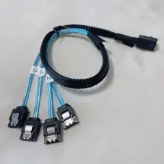 Item thumbnail for item 1420bd97-401d-4ef4-8e4b-2363edb9abc3