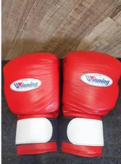 【かんなさん専用】Winning ボクシンググローブ 14oz 赤