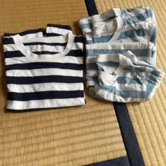 ストライプ Tシャツ 100cm 2枚セット