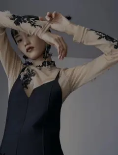 Ameri　UND FUR EMBROIDERY SKIN TOP