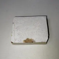 Item thumbnail for item e976ac01-4f0d-407e-a9fb-6f3c7ed3a8dc