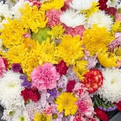 Faerie Health様 リクエスト 3点 まとめ商品