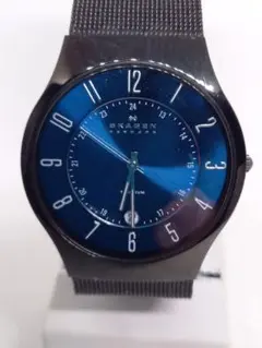SKAGEN スカーゲン　デイト　メンズ　時計 ブラック クリスタルガラス