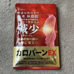 Item thumbnail for item 35cba554-f8c1-4779-bc52-c68ec4c1c880