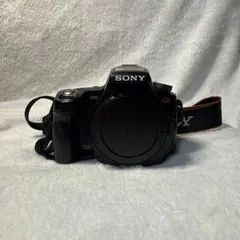 ジャンク】SONY α77 SLT-A77V 本体のみ - メルカリ