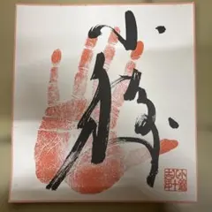 2026年最新】小錦 サインの人気アイテム - メルカリ
