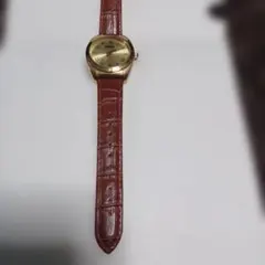 腕時計　ブルッキーナ　BAV006のサムネイル