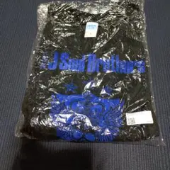 三代目JSB ZERO LIVE TOUR 2012 Tシャツ S