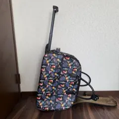 Item thumbnail for item 915880f7-4099-4f9f-b927-fbf857c19acd