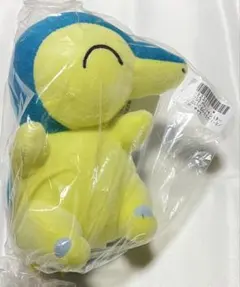 ポケットモンスター　ポケモン　ヒノアラシ　ぬいぐるみ　ほぺぴた　新品未使用